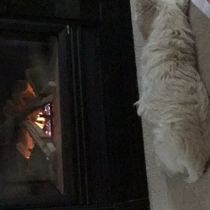 Meet your Posher, Sally